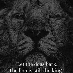 Meet your Posher, Jazzy